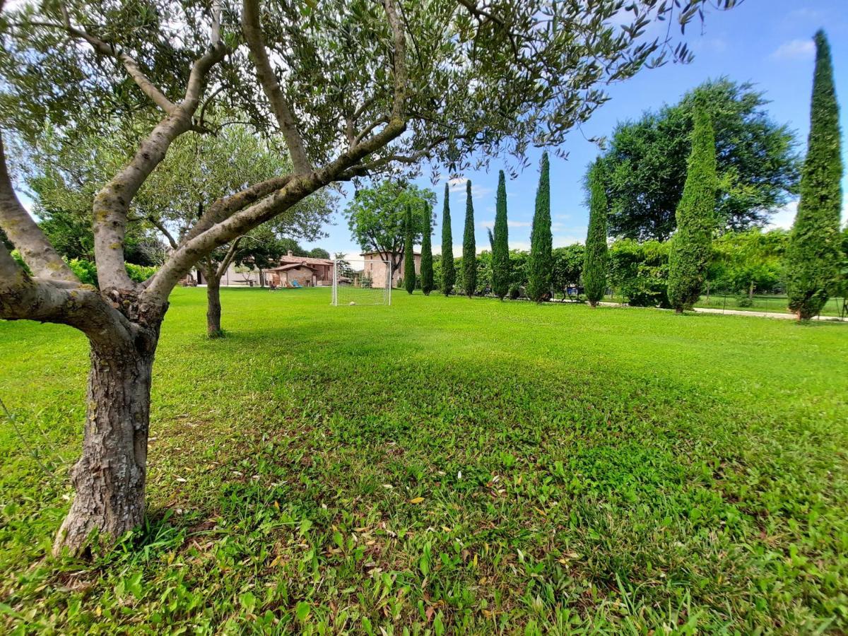 Corte Davini Agriturismo Монцамбано Екстериор снимка