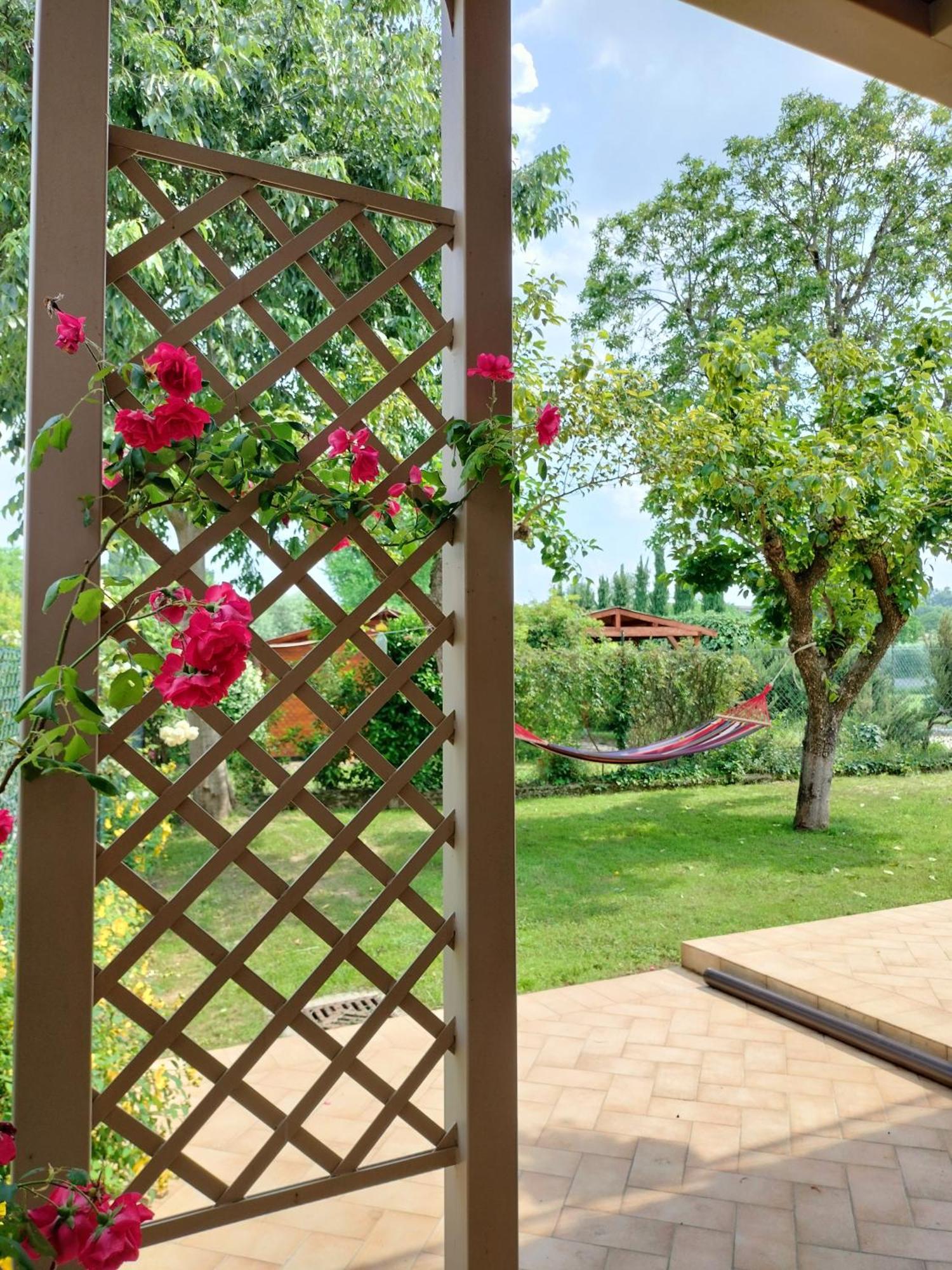 Corte Davini Agriturismo Монцамбано Екстериор снимка